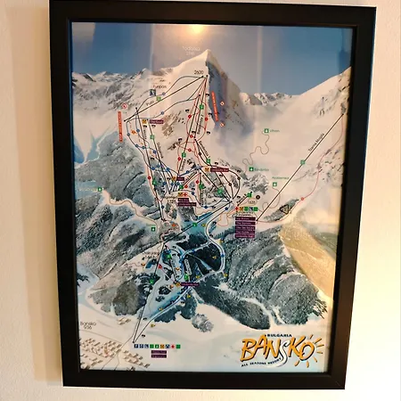 Friendly -top Location バンスコ